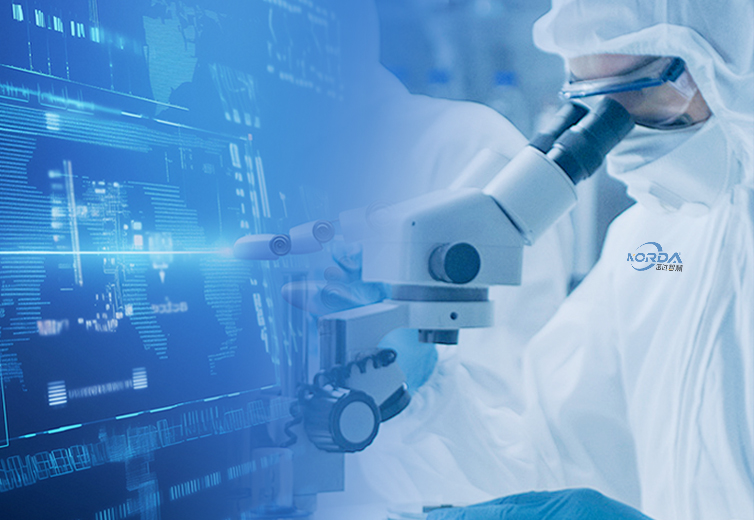 国际化系统化研发团队